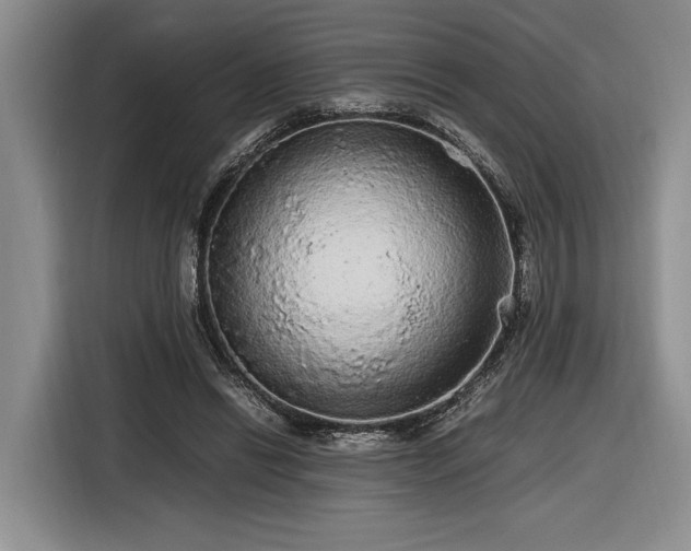 X0000116560446200912171413