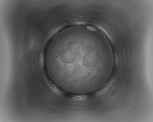 X0000116560447200912171413