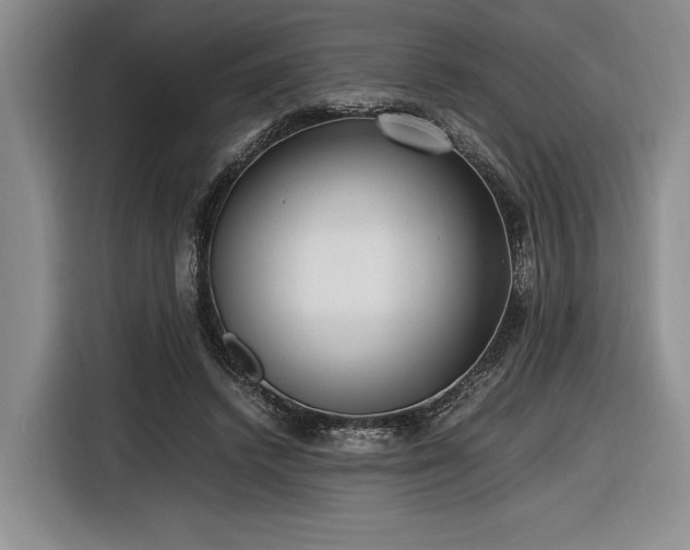 X0000116560448200912171413