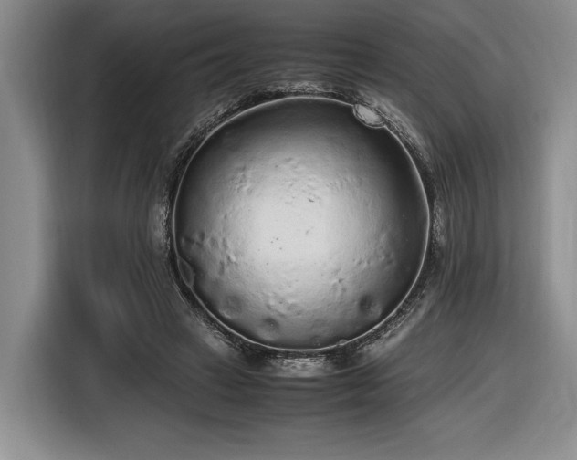 X0000116560449200912171413