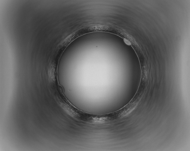 X0000116560450200912171413