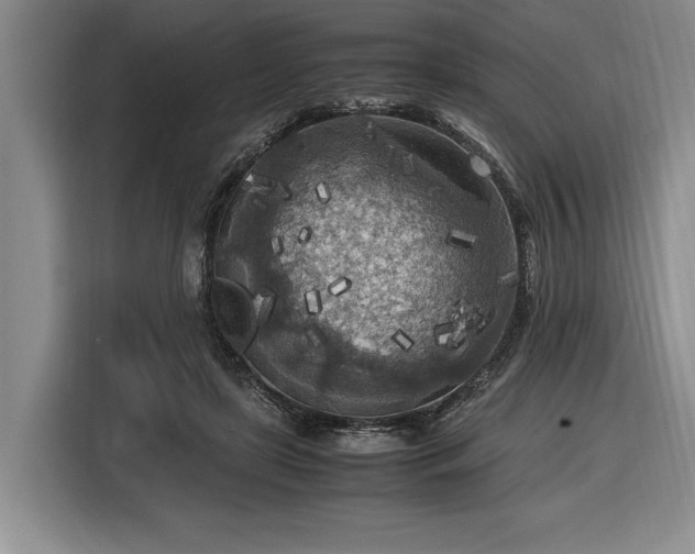 X0000116560451200912171413