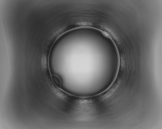 X0000116560453200912171413