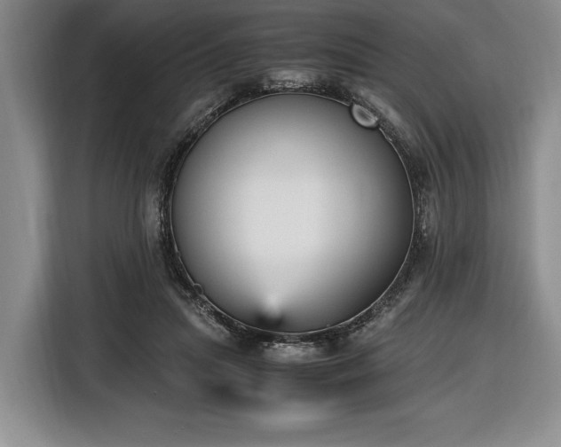 X0000116560455200912171413