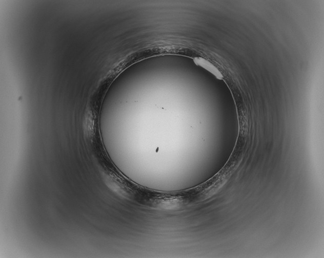 X0000116560456200912171413