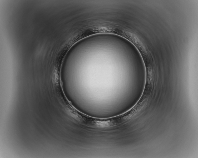 X0000116560457200912171413