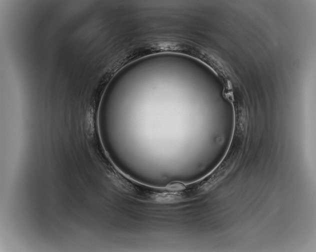 X0000116560461200912171413