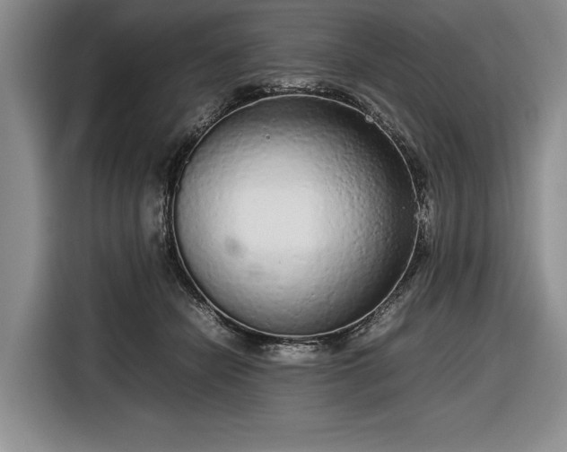 X0000116560462200912171413