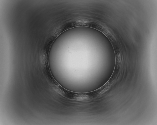 X0000116560463200912171413