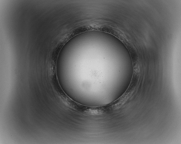 X0000116560464200912171413