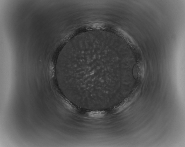 X0000116560465200912171413