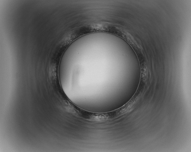 X0000116560466200912171413