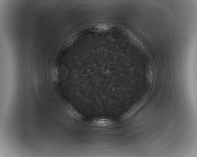 X0000116560467200912171413