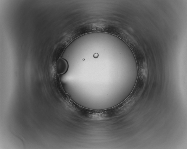 X0000116560468200912171413