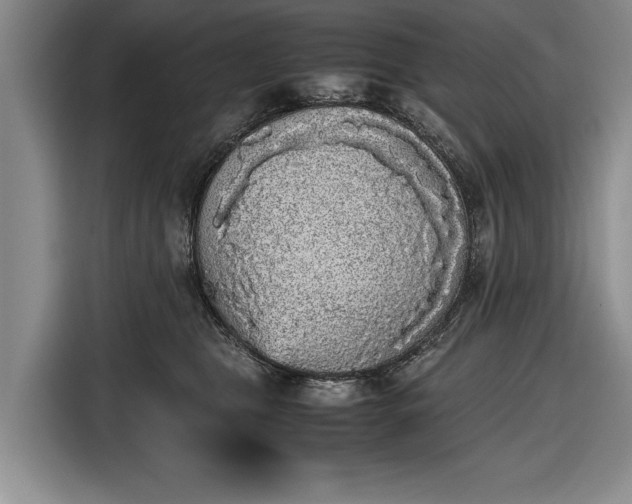 X0000116560469200912171413