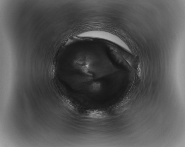 X0000116560471200912171413