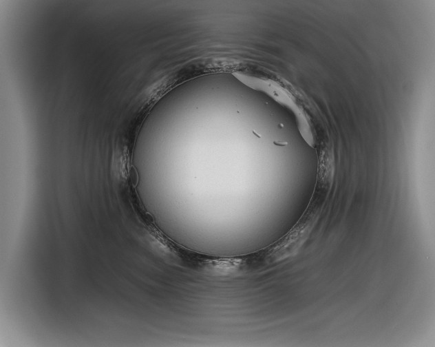 X0000116560474200912171413