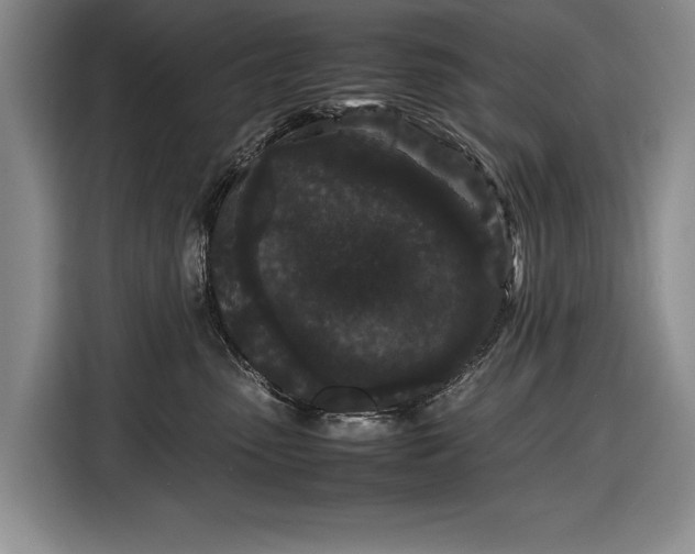 X0000116560475200912171413