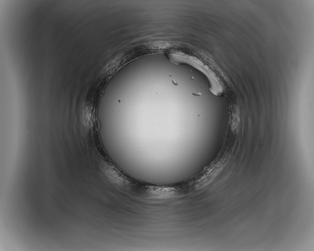 X0000116560476200912171413