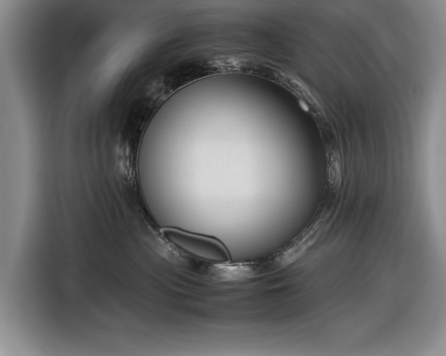 X0000116560477200912171413