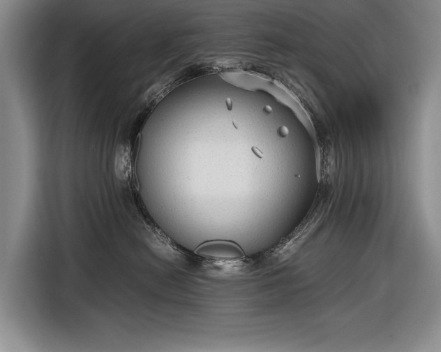 X0000116560478200912171413