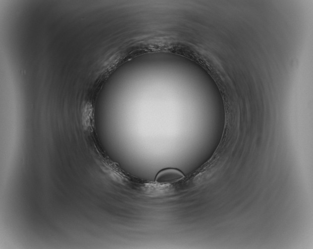 X0000116560480200912171413