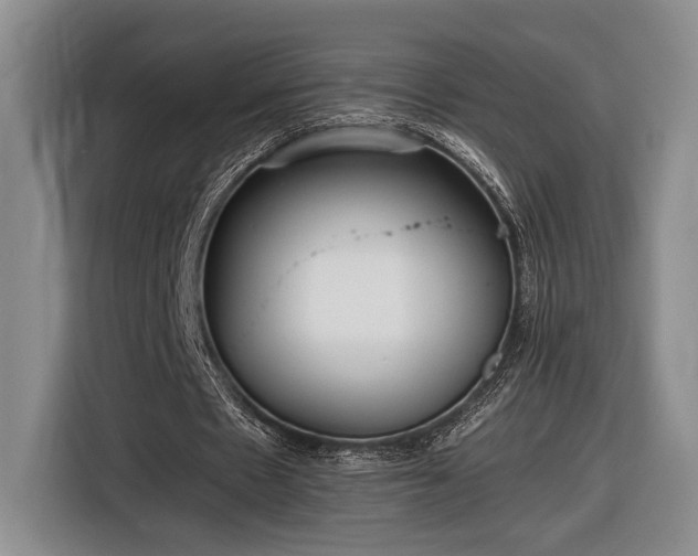 X0000116560481200912171413