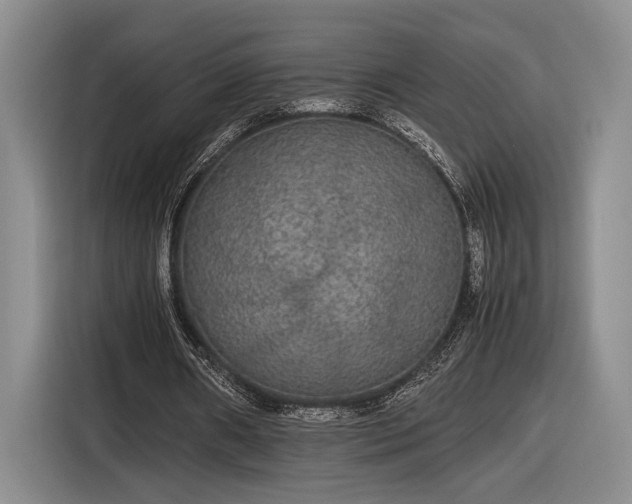 X0000116560482200912171413