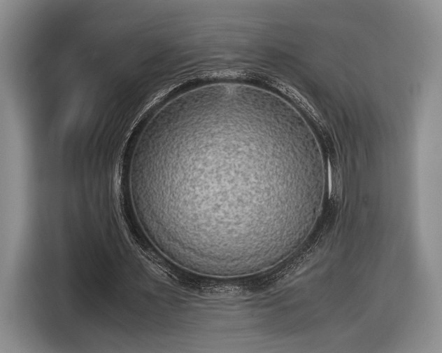 X0000116560483200912171412