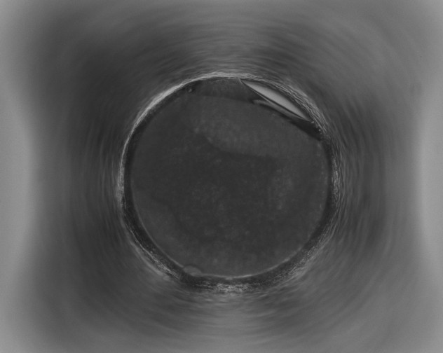 X0000116560484200912171412