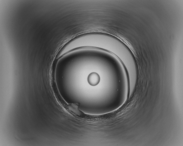 X0000116560485200912171412