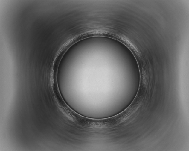 X0000116560486200912171412