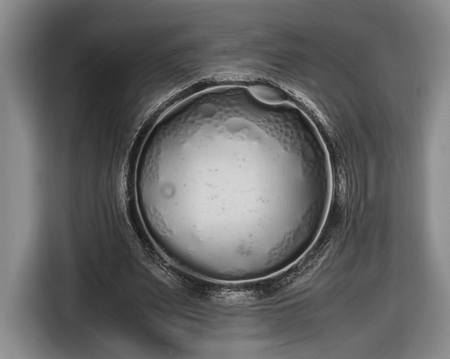 X0000116560487200912171412