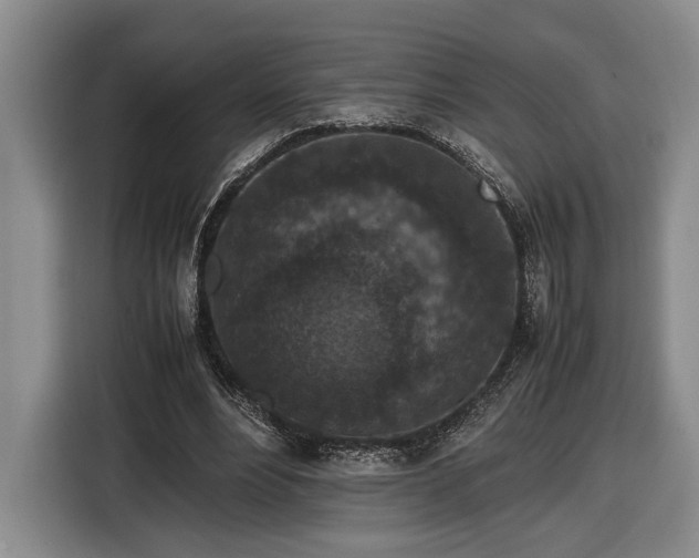 X0000116560488200912171412