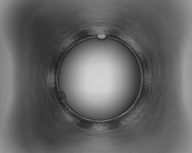 X0000116560489200912171412