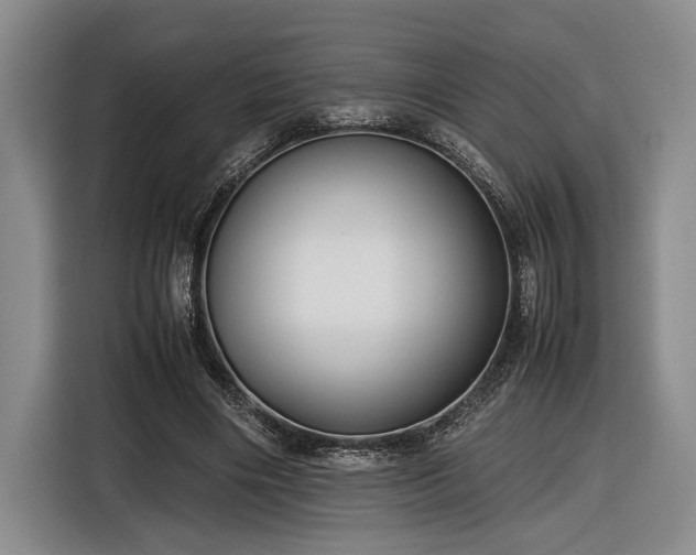 X0000116560490200912171412