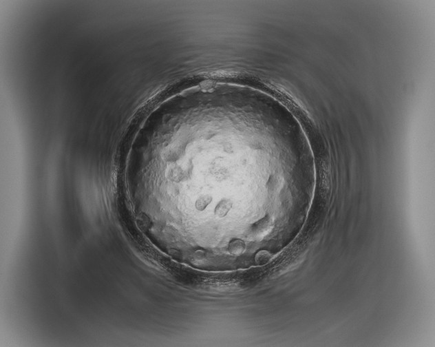 X0000116560491200912171412