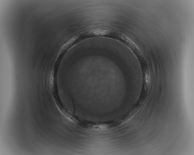 X0000116560492200912171412