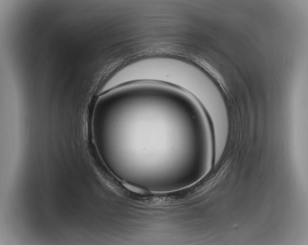 X0000116560493200912171412