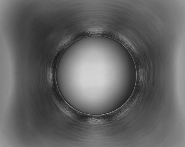 X0000116560494200912171412