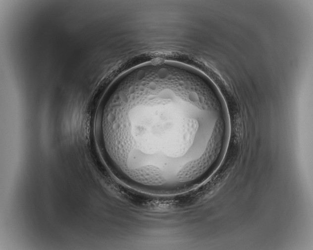 X0000116560495200912171412