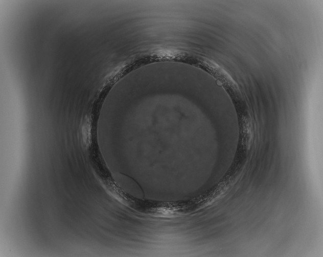 X0000116560496200912171412