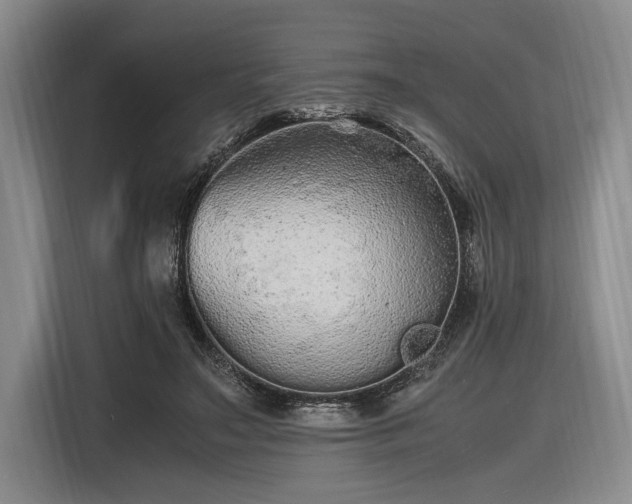 X0000116560499200912171412