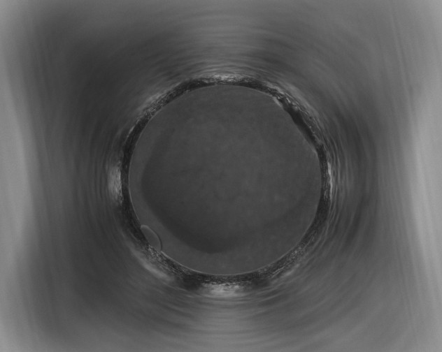 X0000116560500200912171412