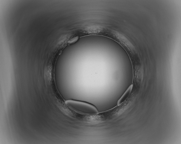 X0000116560501200912171412