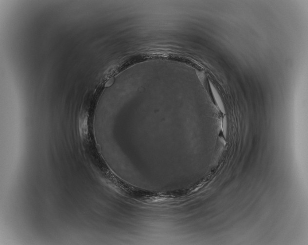 X0000116560504200912171412