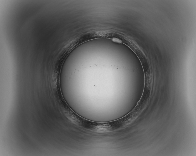 X0000116560505200912171412