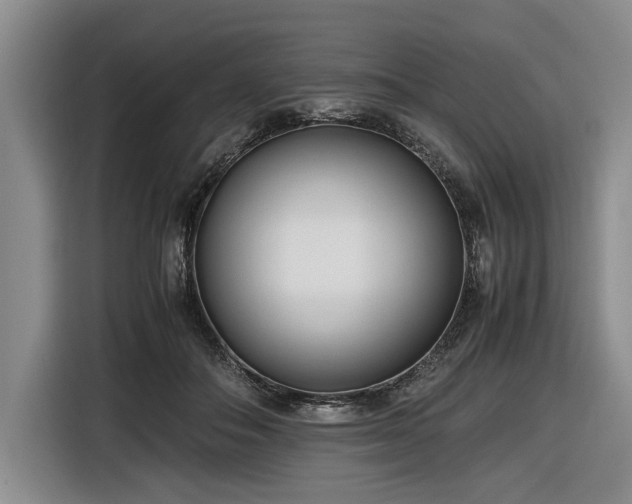 X0000116560506200912171412