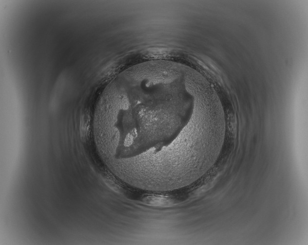 X0000116560507200912171412