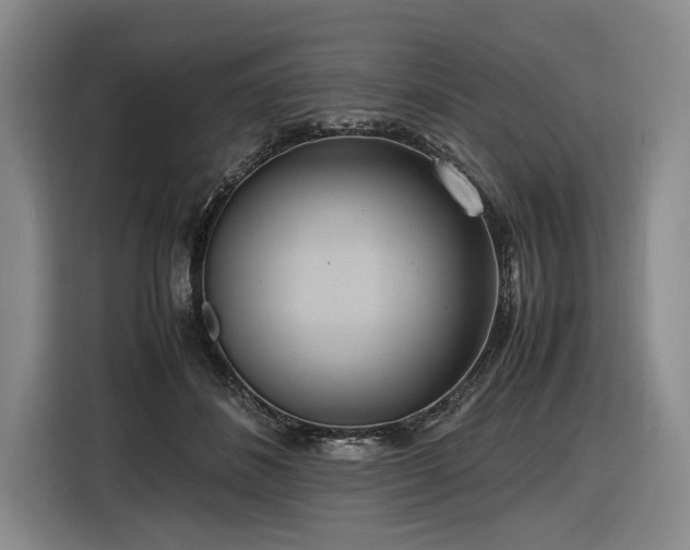 X0000116560508200912171412